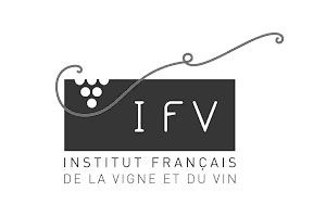 Logo IFV